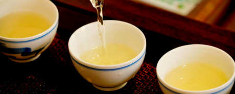 几天喝一次蒲公英茶