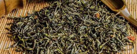 茶的保质期
