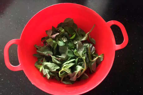 薄荷叶怎么泡水？