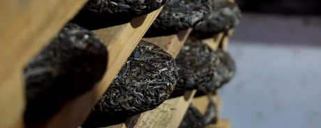 如何储存普洱茶？