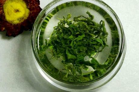 崂山绿茶保质期