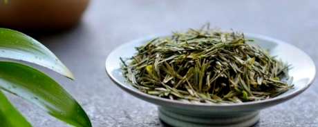 雀舌茶的产地在哪里？