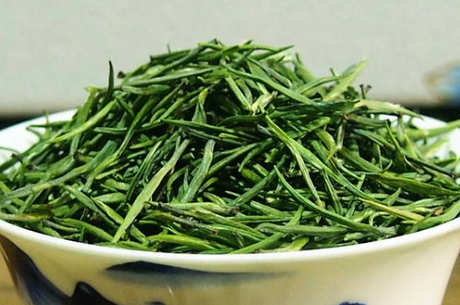 雀舌茶的产地在哪里？
