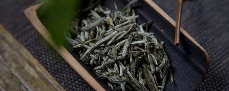 白茶属于哪种茶