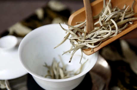 白茶属于哪种茶