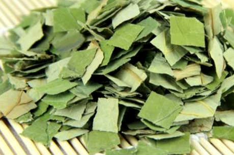 制作荷叶茶