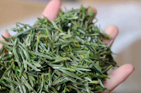 毛峰茶的产地在哪里？