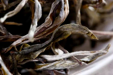 茶叶上的绒毛能喝吗？