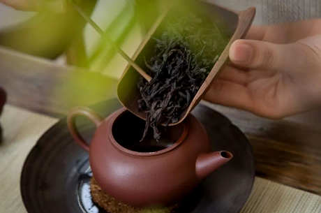 什么茶可以煮着喝