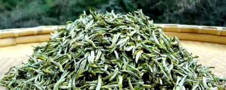 黄山毛峰需要洗茶吗？