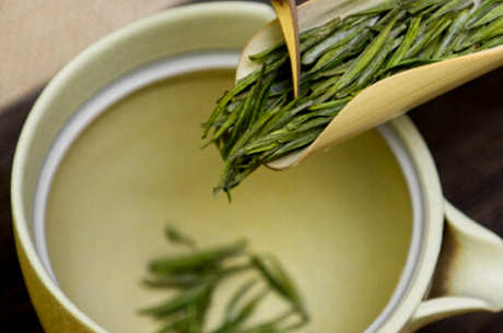 黄山毛峰需要洗茶吗？