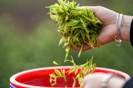红茶怎么做