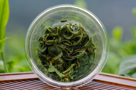 绿茶是什么茶？