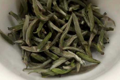 什么茶是白毫银针？