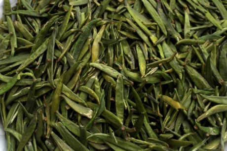 湄潭翠芽属于什么茶？