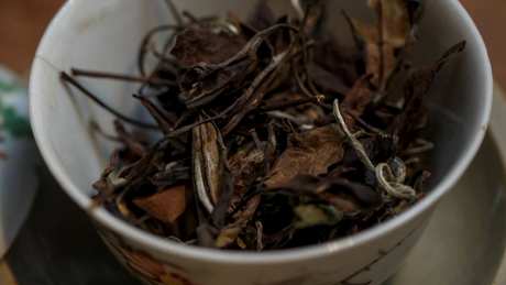 什么茶是老寿眉？
