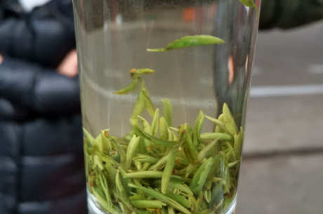 常见的绿茶有哪些品种？