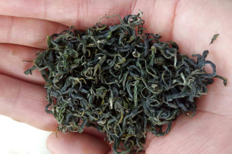 常见的绿茶有哪些品种？