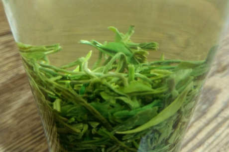 常见的绿茶有哪些品种？