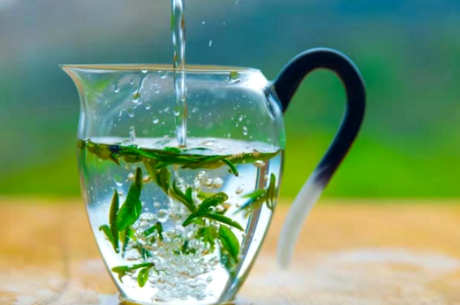 日照绿茶的特点