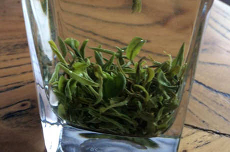 日照绿茶保质期