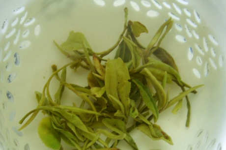 日照绿茶保质期