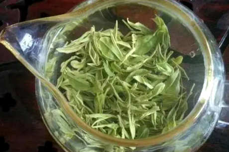 日照绿茶的产地在哪里？