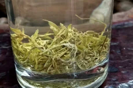 藤茶是什么茶？