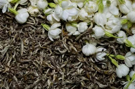 制作茉莉花茶