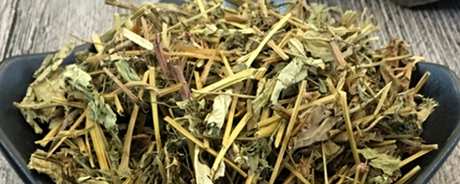 如何喝繁缕茶？