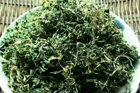 如何喝繁缕茶？