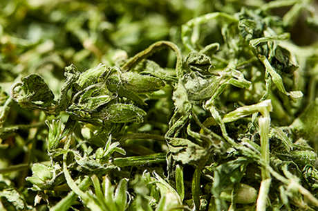 一次放多少克繁缕茶？