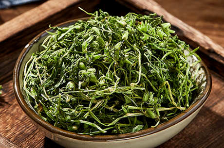 一次放多少克繁缕茶？