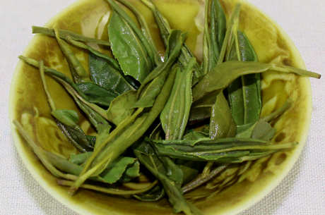 绿茶是什么意思？