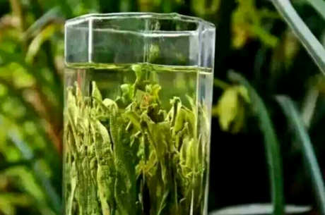 如何判断泡茶的水温？