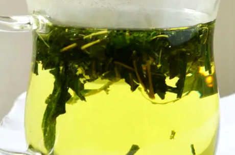 禁忌桑叶茶