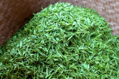 春茶什么时候上市？