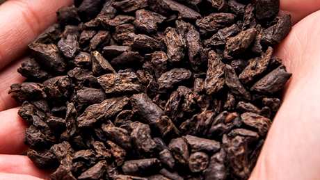 碎银是什么茶？