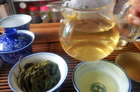 怎样泡古树茶？