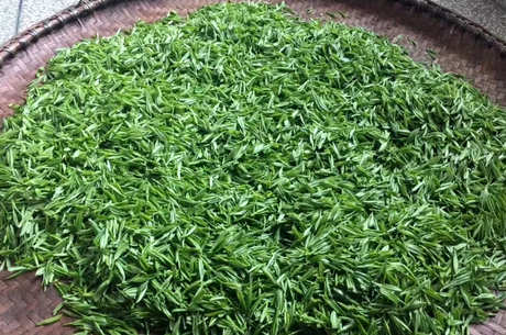 镇江金山翠芽有保质期吗？