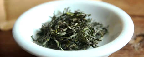 阳羡茶属于什么茶？