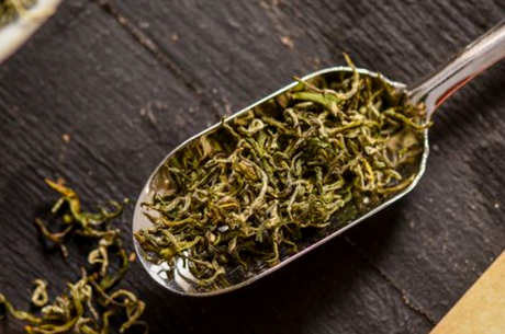 阳羡茶属于什么茶？
