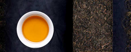 茯茶属于什么茶？