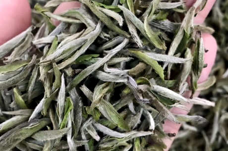 银峰属于什么茶？