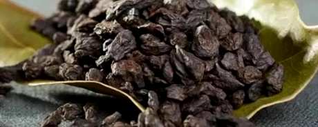 什么是茶化石？