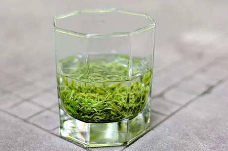 绿茶的泡法
