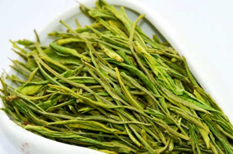 松针白茶属于哪种茶？