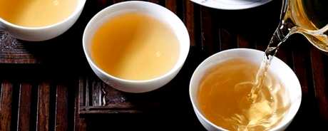 怎样泡普洱茶？