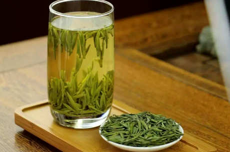 雀舌茶产地