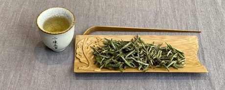 阳羡雪芽属于什么茶？